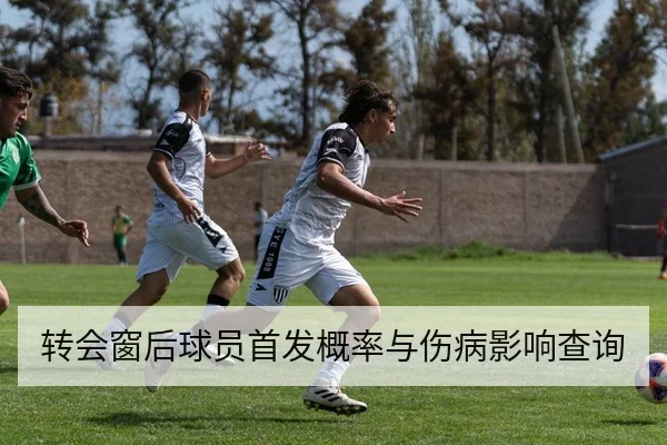 转会窗后球员首发概率与伤病影响查询