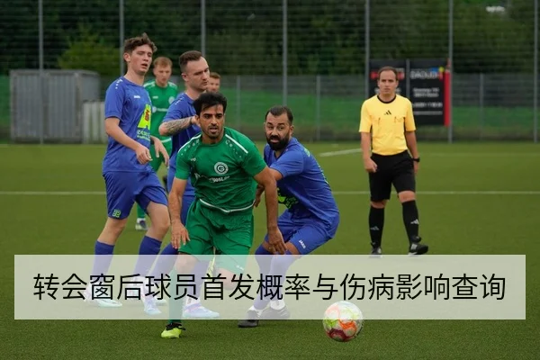 转会窗后球员首发概率与伤病影响查询